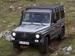 Mercedes-Benz G300 CDI Professional 2010 года